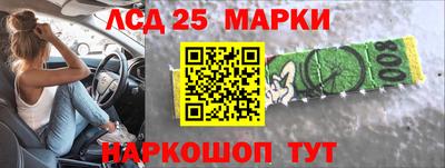 гидра Заводоуковск