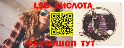 гидра Заводоуковск