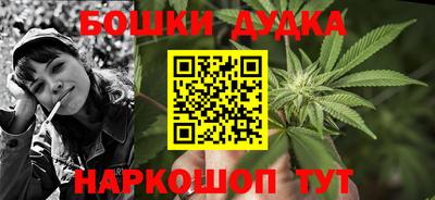 индика Заволжье