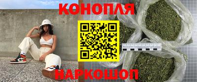 индика Заволжье