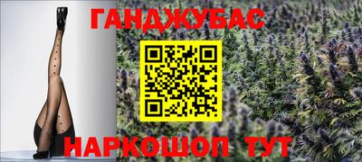 гидра Заводоуковск