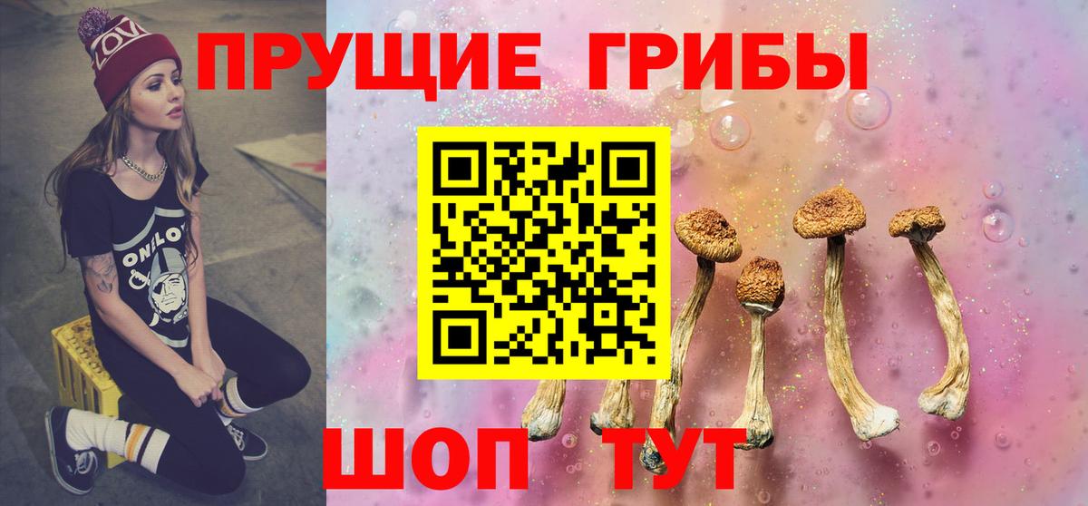 Галлюциногенные грибы мухоморы  Вход с VPN  закладка  Волхов  Псилоцибиновые грибы мухоморы 