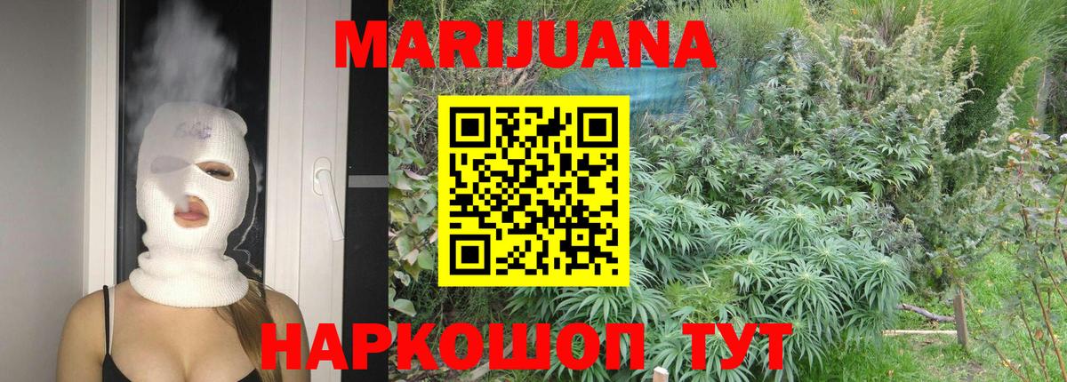 Бошки марихуана White Widow Волхов